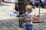 IMG_7557